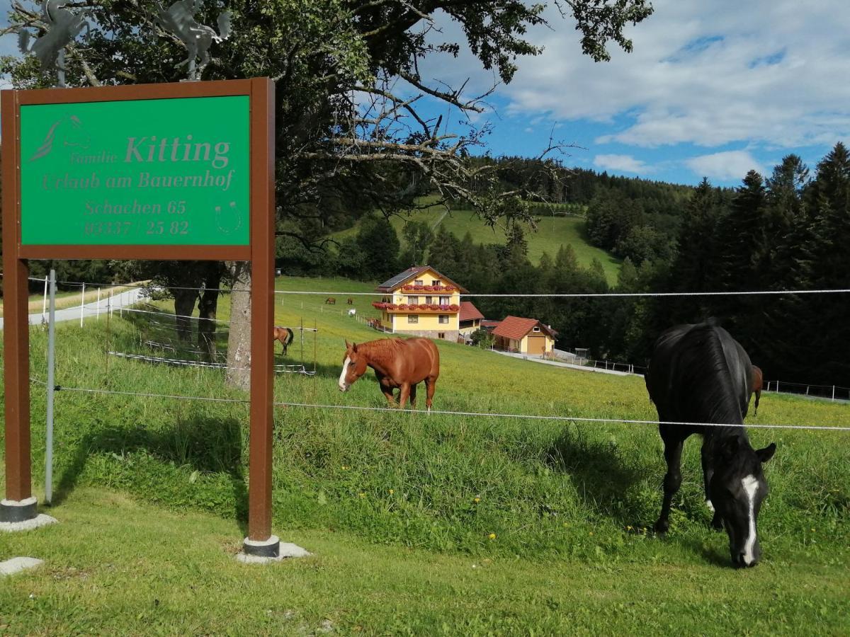 Villa Urlaub Am Bauernhof Familie Kitting à Vorau Extérieur photo