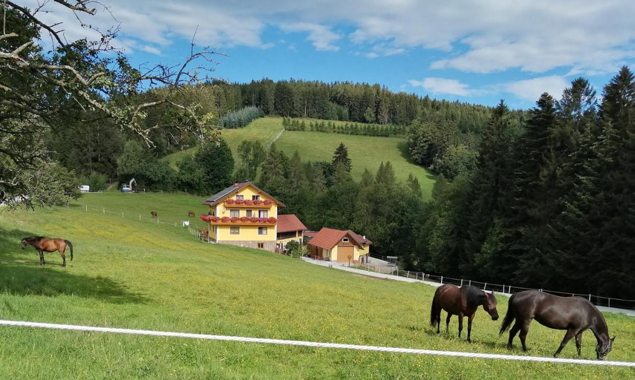 Villa Urlaub Am Bauernhof Familie Kitting à Vorau Extérieur photo