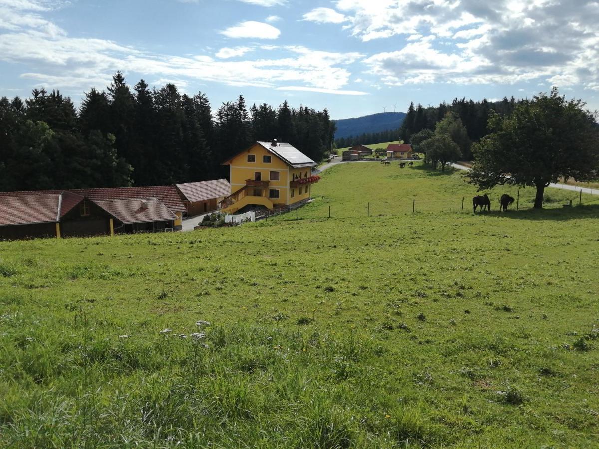 Villa Urlaub Am Bauernhof Familie Kitting à Vorau Extérieur photo