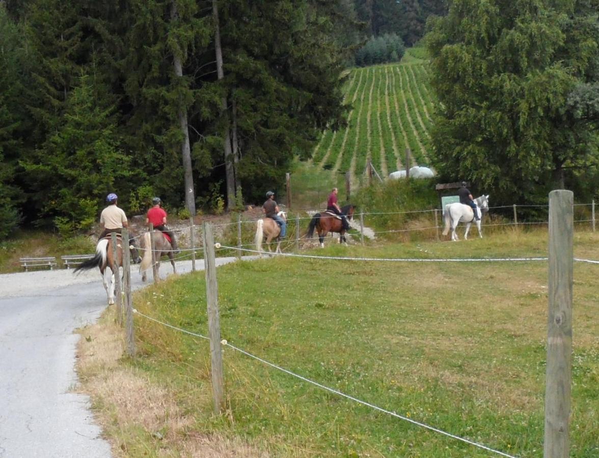 Villa Urlaub Am Bauernhof Familie Kitting à Vorau Extérieur photo
